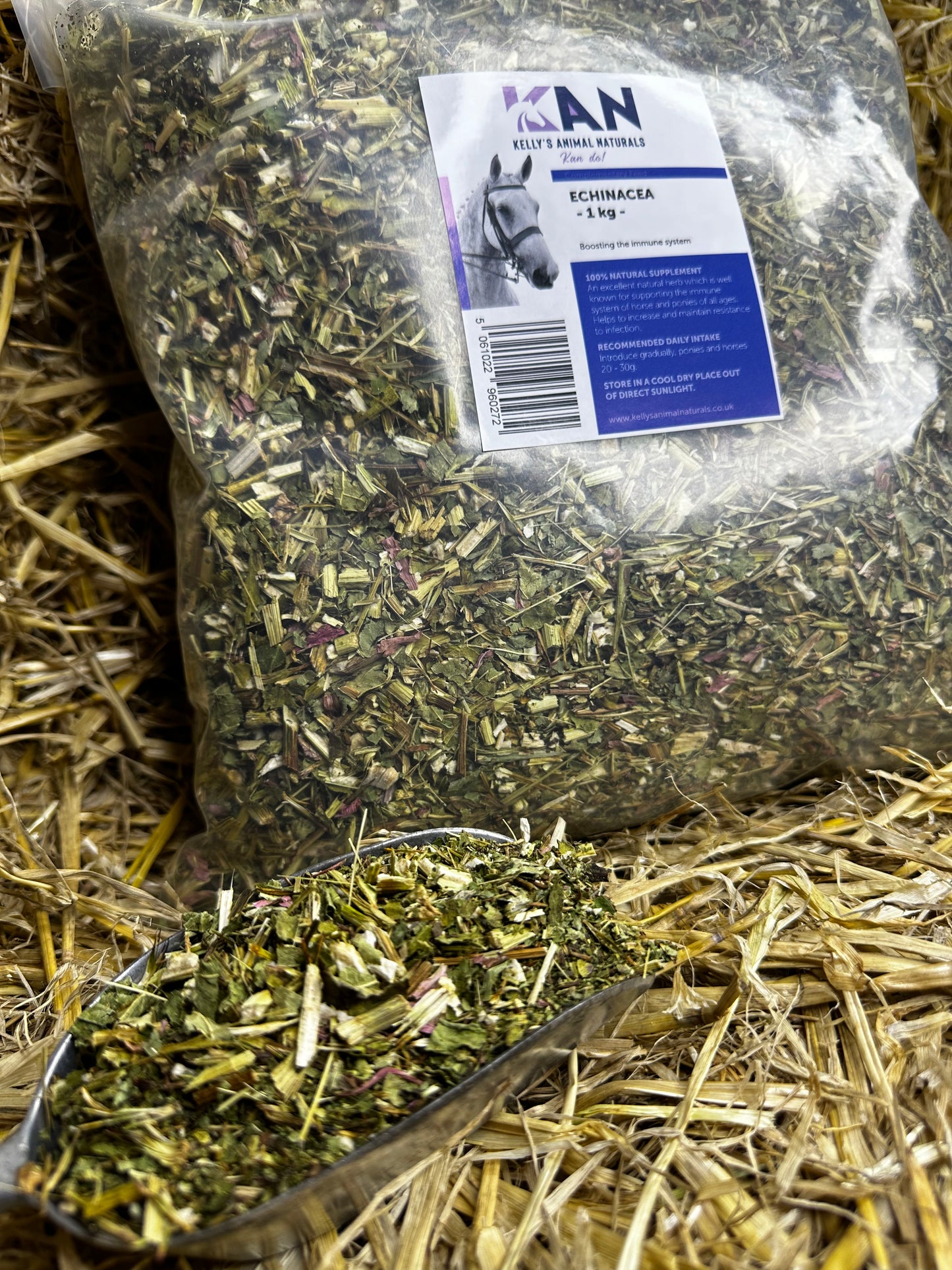 ECHINACEA