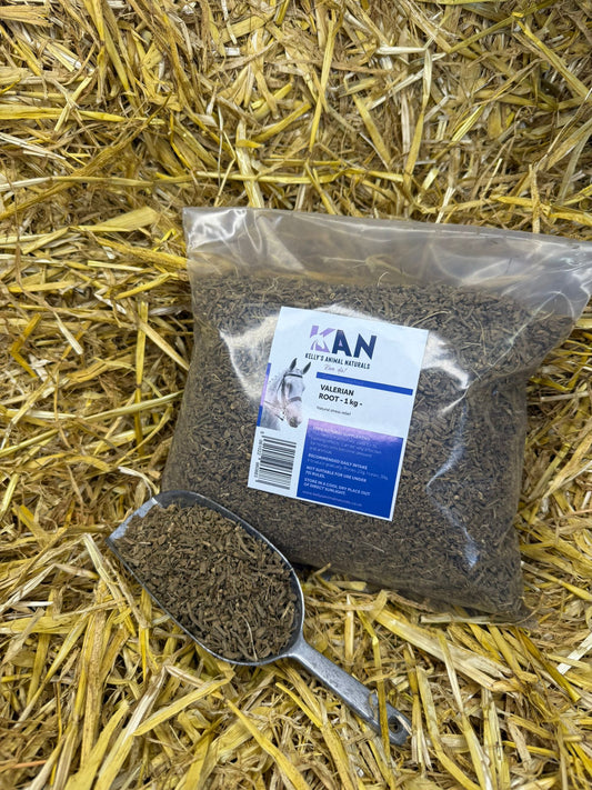 VALERIAN ROOT 1KG