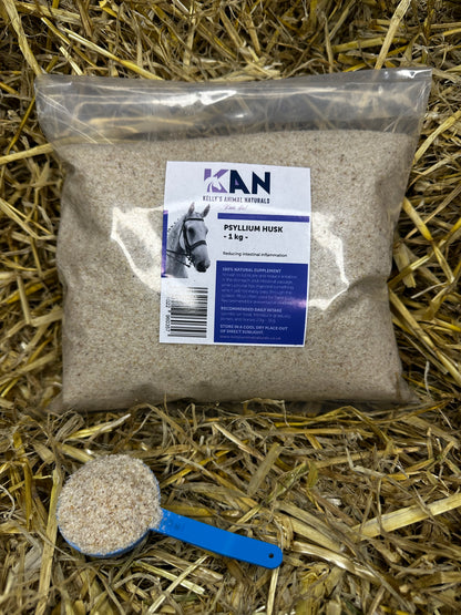 PSYLLIUM HUSK